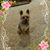 Ronnie Cyphers-badgett's profile image