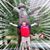 Randal Comia's profile image