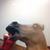 Yulian Arencibia's profile image