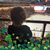 Jessica Simek's profile image