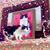 Kit Fox's profile image