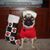 Aimee Krause's profile image
