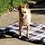 Connie Jennings's profile image