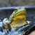 Mike Kiser's profile image