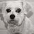Kimberly Ann's profile image