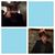 Matthew Prowse's profile image