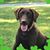 Paula Whitley's profile image