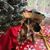 Cristina Mayoral's profile image