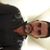 Joe Panaro's profile image