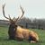 Susan Batts Brosman's profile image