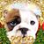 Kelly Ingebrigtsen Rizzo's profile image