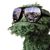 Lisa Cole's profile image