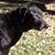 Karen Schellenberg's profile image