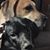 Tracey Prosser Guild's profile image