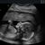 Bethany Knicely's profile image