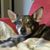 Mary Beth Duke's profile image