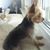 LouWanda Alexander Stevenson's profile image