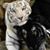 Vicki Beckers's profile image