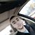 Cory Mangekian's profile image