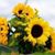 Susan Pogreba's profile image