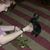 Jodie Wellbourne's profile image
