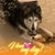 Jennifer Wallace Hunt's profile image