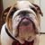 David Uribe's profile image
