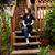 Elizabeth Laughlin's profile image