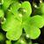 Judy Brannen's profile image