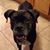 Melissa Ducharme Pedrick's profile image