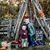 Amy Alvis's profile image