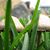 Robyn Kessler's profile image