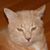 Ralph Pompeo's profile image