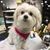 Kathy Lorance Marks's profile image