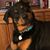 Craig Ver Helst's profile image