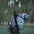 Jumayi BG's profile image