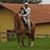 Cabanha Dom Vital's profile image