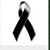 Cinthya Alas's profile image