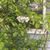 Benita DeCaro's profile image