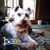 Rebecca Gash Murphy's profile image