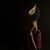 Amanda Ilc's profile image
