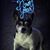 Susan Menard's profile image