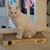 Tricia Howell's profile image