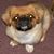 Marsha Widiker's profile image