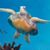 Anne Tackett Holt's profile image