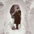 Jeanne Bode Williams's profile image