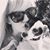 Crystal Crawford's profile image