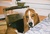 Mary T.'s profile image