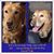 Roxanne Schaupert Beal's profile image