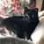 Karen Hiebert's profile image